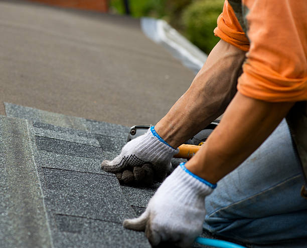 Roof Gutter Cleaning in Oberlin, OH