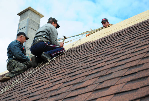 Quick and Trustworthy Emergency Roof Repair Services in Oberlin, OH